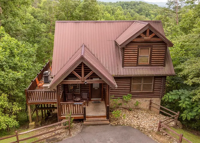 Bring Your Pets Great Views Hot Tub Gatlinburg